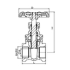 1108 Brass Gate Valve