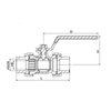1324 Brass PPR Ball Valve